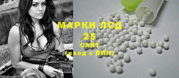 индика Майский