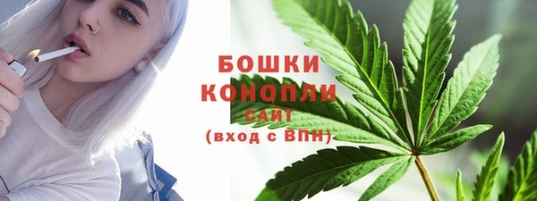 спиды Магас