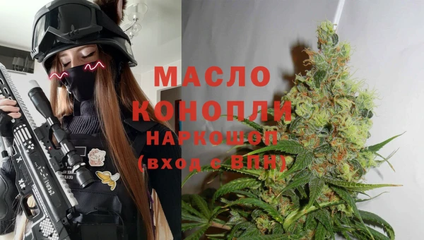 спиды Магас