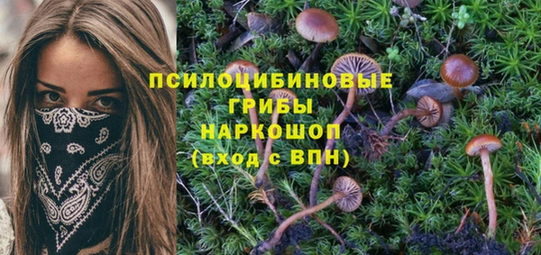 индика Майский
