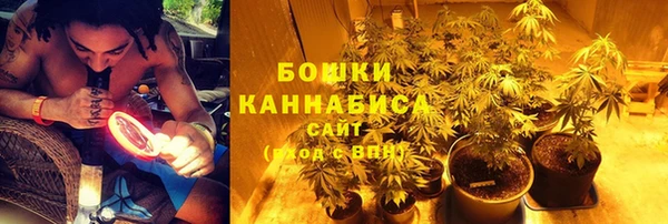 спиды Магас