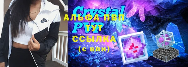 индика Майский