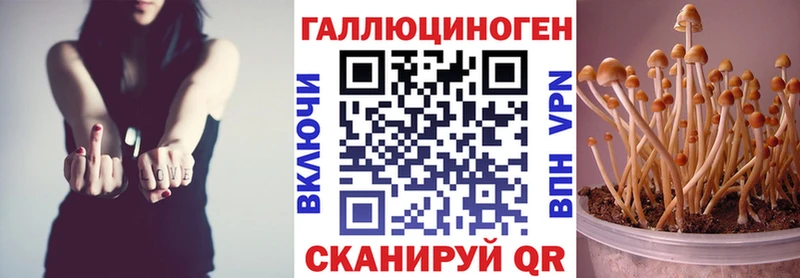 хочу   Динская  mega ссылки  Псилоцибиновые грибы GOLDEN TEACHER 